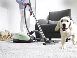 Staubsauger Teppich- und Bodenpflege Reinigung